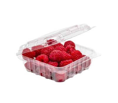 image of 125g RPET Clamshell punnet 110 x 110 x 45mm