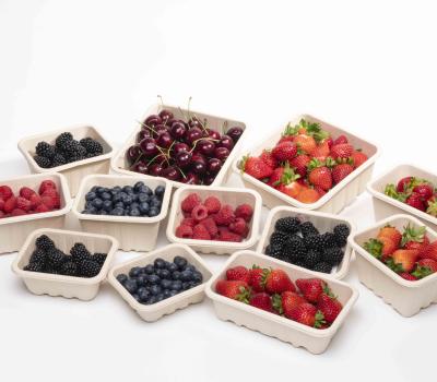 image of FREE 100 units of packaging trays or punnets