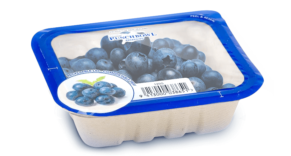  Punchbowl Packaging Berry Punnet 