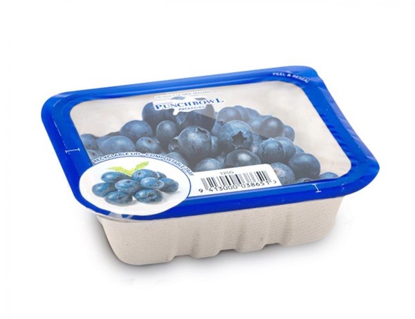 Blueberries in Punchbowl Packaging Punnet