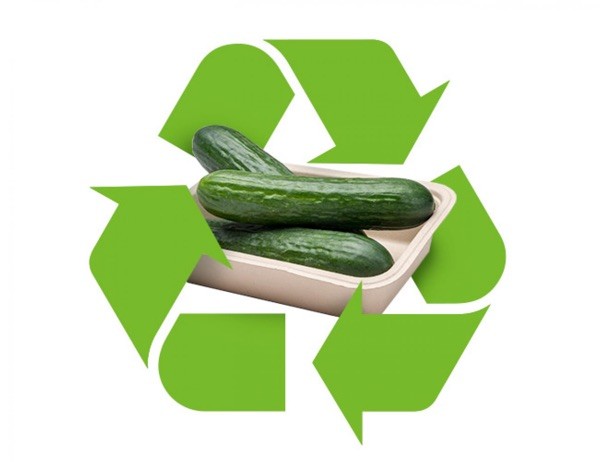 Recycle Punnet Graphic