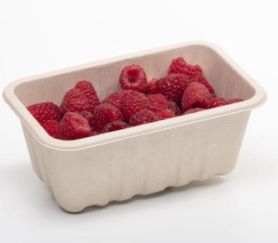 330-500g Produce fibre punnet (with holes) product image