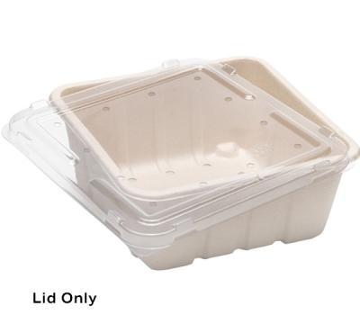 700g-1kg RPET Flat Lid (with holes) 178 x 178 x 11mm  product image