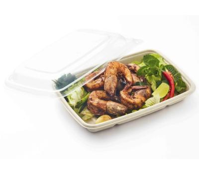 gallery image of Fibre takeaway meal tray 165 x 228 x 28mm 