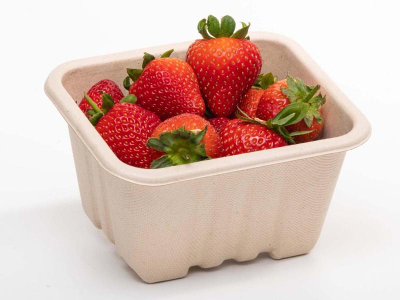 product image for 250g Produce fibre punnet 135 x 117 x 72mm (with holes)