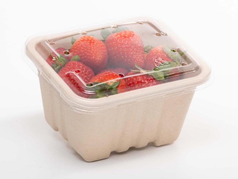 product image for 250g Produce fibre punnet 135 x 117 x 72mm (with no holes)