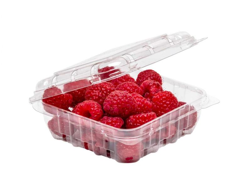 product image for 125g RPET Clamshell punnet 110 x 110 x 45mm