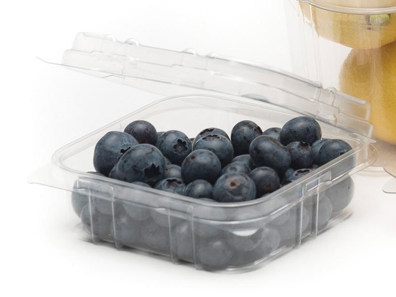 product image for 125g RPET Clamshell punnet 127 x 113 x 35mm