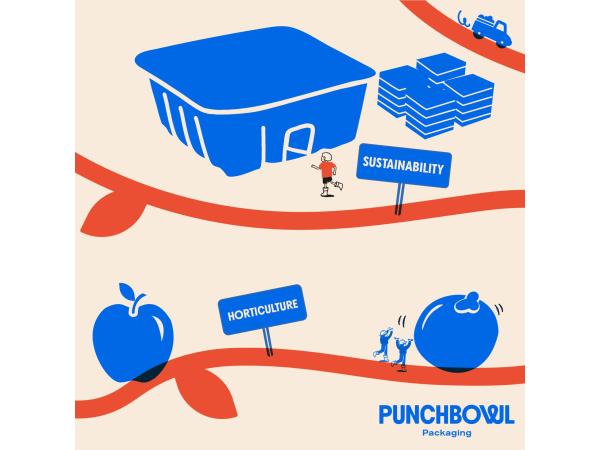image of Punchbowl Packaging: Protecting your produce from shed to shelf