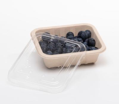125g Produce fibre punnet 125 x 109 x 40mm (with holes) product image