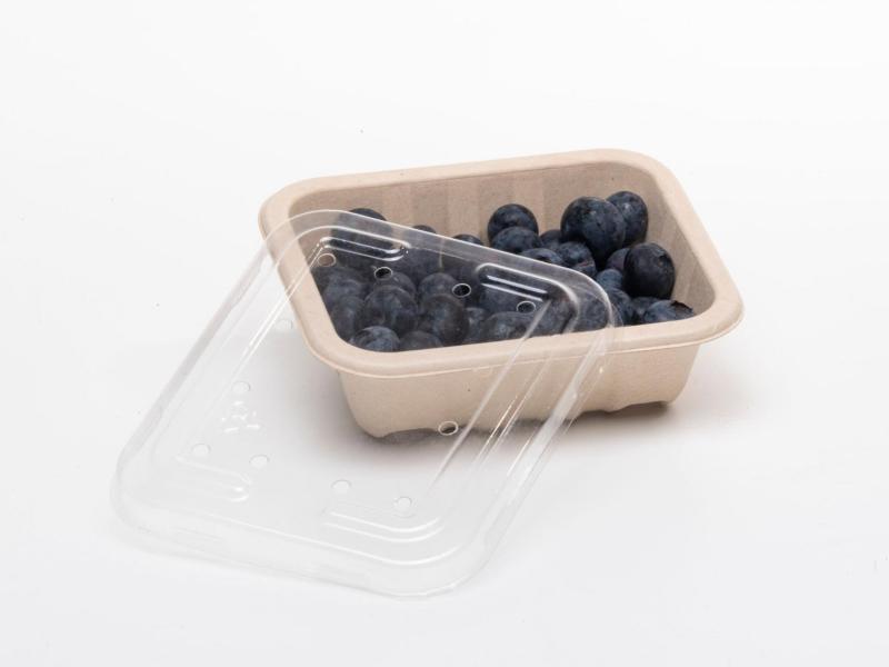 product image for 125g Produce fibre punnet 125 x 109 x 40mm (with holes)