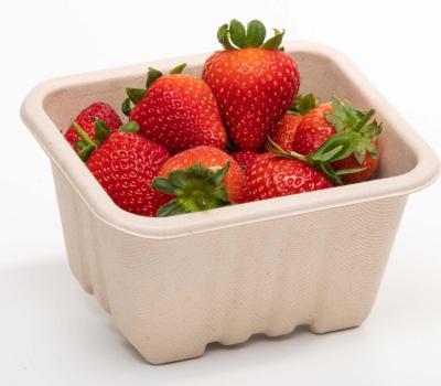 250g Produce fibre punnet 135 x 117 x 72mm (with holes) product image