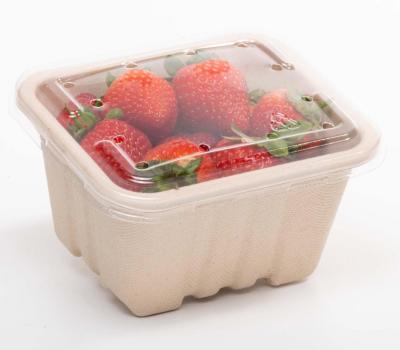 250g Produce fibre punnet 135 x 117 x 72mm (with no holes) product image