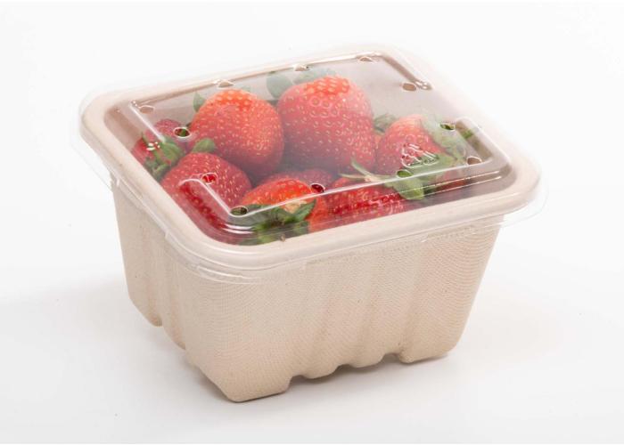 product image for 250g Produce fibre punnet 135 x 117 x 72mm (with no holes)