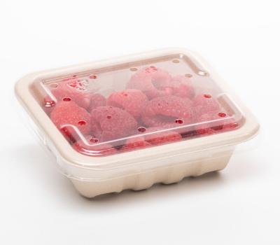 gallery image of 125g PET Flat punnet lid (with holes) 131 x 111 x 11mm 