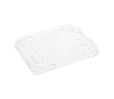 image of 125g PET Flat punnet lid (with holes) 131 x 111 x 11mm 