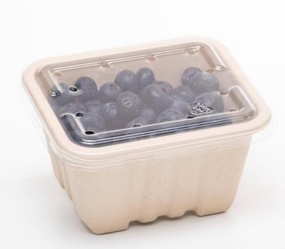 gallery image of 250g PET Flat punnet lid (with holes) 138 x 120 x 11mm 