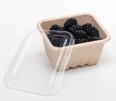 gallery image of 250g PET Flat punnet lid (with holes) 138 x 120 x 11mm 