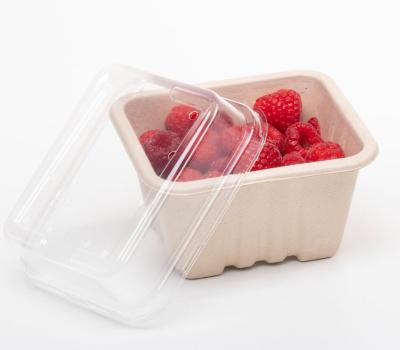 gallery image of 250g Raised PET punnet lid (with holes) 138 x 120 x 36mm 