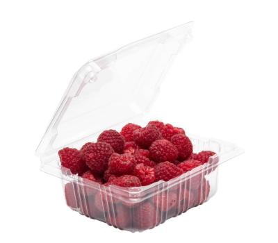 RPET 250g clamshell punnet 137 x 117 x 64mm product image