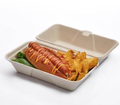 Fibre takeaway hoagie clamshell 285 x 242 x 49mm  product image