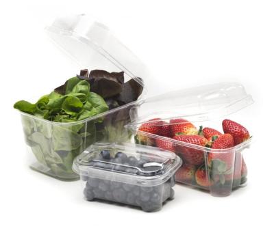 image of 100% Recyclable RPET Punnets