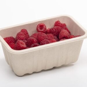 Punnet 37 Long Compostable Bagasse 182x113x76mm (500/Ctn)