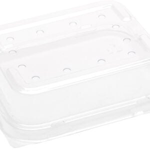 Lid Raised RPET for Punnet 12